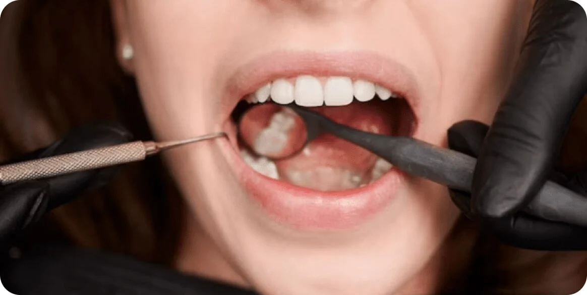 ozkan-guner-rOFbz74Ljro-unsplash 1 (5) (1)